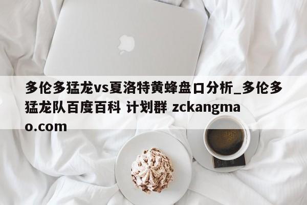 多伦多猛龙vs夏洛特黄蜂盘口分析_多伦多猛龙队百度百科 计划群 zckangmao.com 